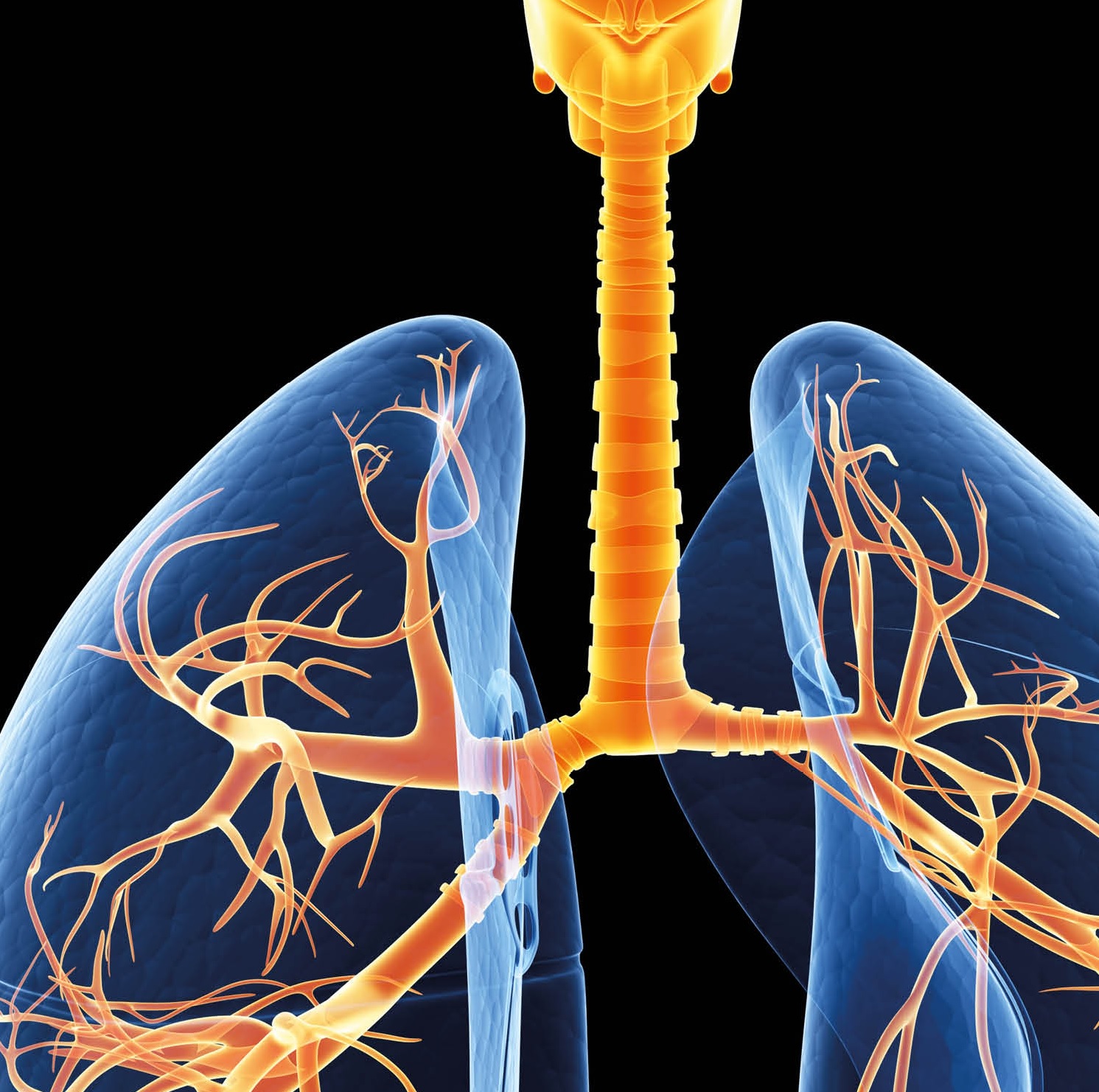 Pulmonale hypertensie
